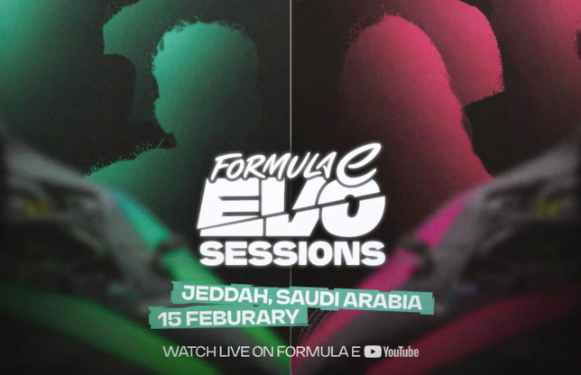 Формула E даёт покататься знаменитостям